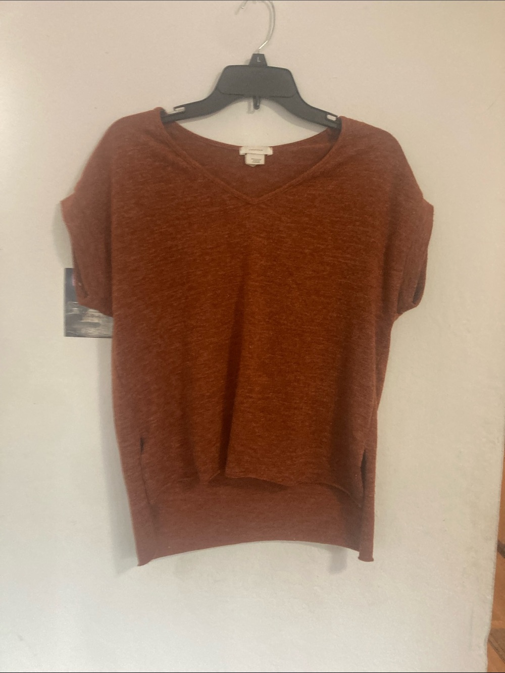 Women's Rust V-Neck Short-Sleeve Knit Top